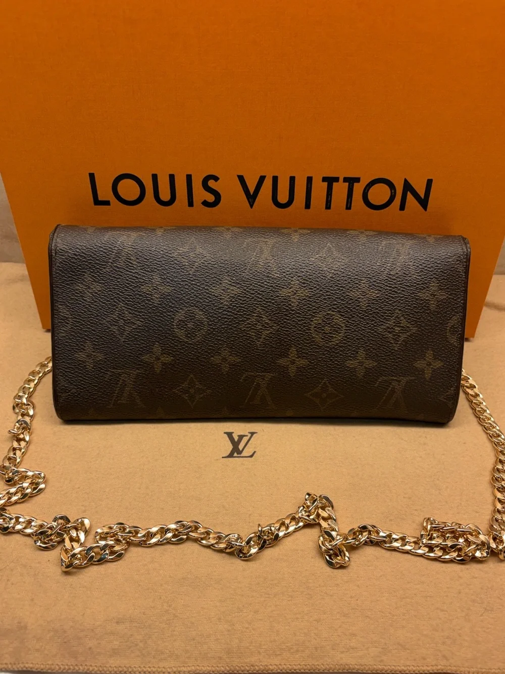 Louis Vuitton authentic louis